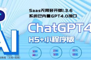 全网首发SAAS无限多开版CHATGPT小程序+H5，系统已内置GPT4.0接口，可无限开通坑位