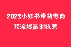 小红书电商爆量训练营，月入3W+！可复制的独家养生花茶系列玩  法