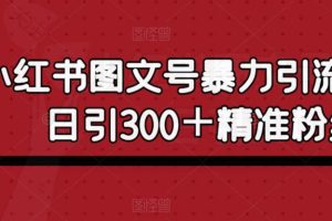 22 MAY 小红书图文号暴力引流4.0，日引300＋精准粉丝【揭秘】