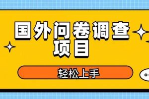 国外问卷调查项目，日入300+，在家赚美金【揭秘】