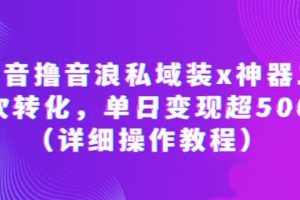 抖音撸音浪私域装X神器二次转化，单日变现超500（详细操作教程）【揭秘】