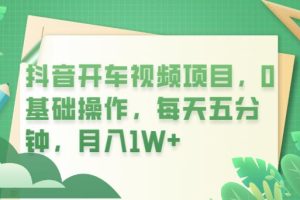 抖音开车视频项目，0基础操作，每天五分钟，月入1W+【揭秘】