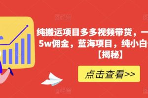 纯搬运项目多多视频带货，一个月搞了5W佣金，蓝海项目，纯小白也能操作【揭秘】