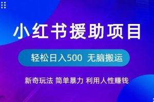 小红书援助项目新奇玩法，简单暴力，无脑搬运轻松日入500【揭秘】