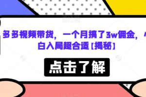 多多视频带货，一个月搞了3W佣金，小白入局超合适【揭秘】