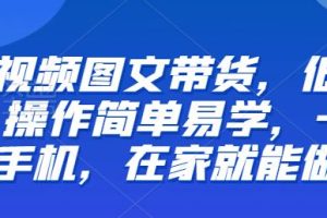 【推荐】短视频图文带货，低门槛,操作简单易学，一部手机，在家就能做