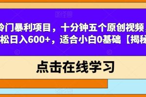 冷门暴利项目，十分钟五个原创视频，轻松日入600+，适合小白0基础【揭秘】