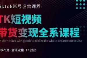 TIKTOK运营线上训练营，引流爆单，急速涨粉，TIKTOK短视频玩法大揭秘