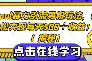 SOUL暴力引流男粉玩法，轻松实现每天500＋收益！【揭秘】