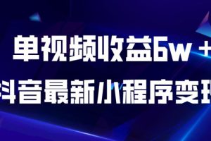 抖音最新小程序变现项目，单视频收益6W＋，小白可做【揭秘】