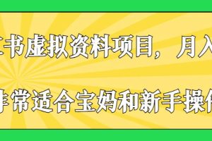 小红书虚拟资料项目，月入2W+，非常适合宝妈和新手操作【揭秘】