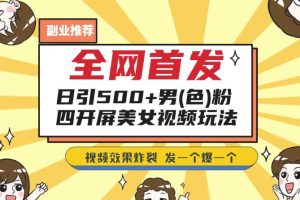 全网首发，日引500+男粉美女视频四开屏玩法，发一个爆一个【揭秘】