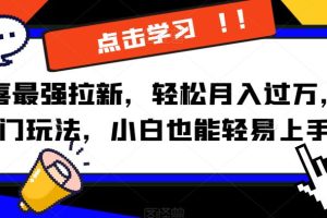 京喜最强拉新，轻松月入过万，偏门玩法，小白也能轻易上手【揭秘】