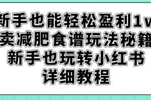 新手也能轻松盈利1W，卖减肥食谱玩法秘籍，新手也玩转小红书详细教程【揭秘】