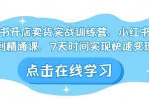 小红书开店卖货实战训练营，小红书入门到精通课，7天时间实现快速变现