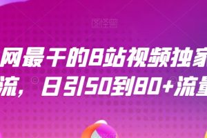 全网最干的B站视频独家引流，日引50到80+流量【揭秘】