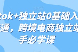 TIKTOK+独立站0基础入门到精通，跨境电商独立站新手必学课