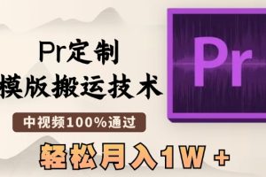 最新PR定制模版搬运技术，中视频100%通过，几分钟一条视频，轻松月入1W＋【揭秘】