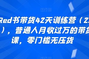 小RED书带货42天训练营（2.0版），普通人月收过万的带货课，零门槛无压货