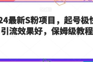 2024最新S粉项目，起号极快，引流效果好，保姆级教程