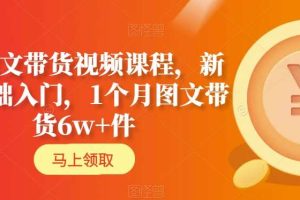 AI图文带货视频课程，新人基础入门，1个月图文带货6W+件