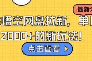 靠悟空网盘拉新，单日2000+的新玩法！