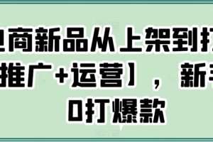 电商新品从上架到打爆【推广+运营】，新手从0打爆款