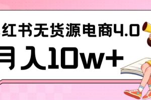 小红书新电商实战，无货源实操从0到1月入10W+联合抖音放大收益【揭秘】