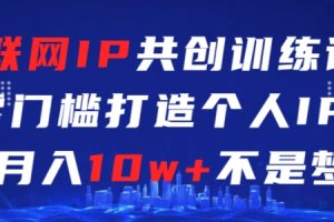 互联网IP共创训练课，零门槛零基础打造个人IP，月入10W+不是梦【揭秘】