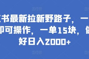 小红书最新拉新野路子，一部手机即可操作，一单15块，做得好日入2000+【揭秘】