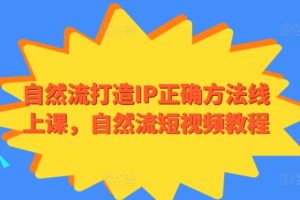 自然流打造IP正确方法线上课，自然流短视频教程