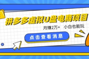 拼多多虚拟U盘电商红利项目：月赚2万+，新手小白也能玩