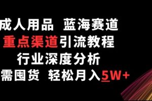 成人用品，蓝海赛道，重点渠道引流教程，行业深度分析，无需囤货，轻松月入5W+【揭秘】