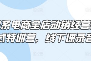 淘系电商全店动销经营模式特训营，线下课录音